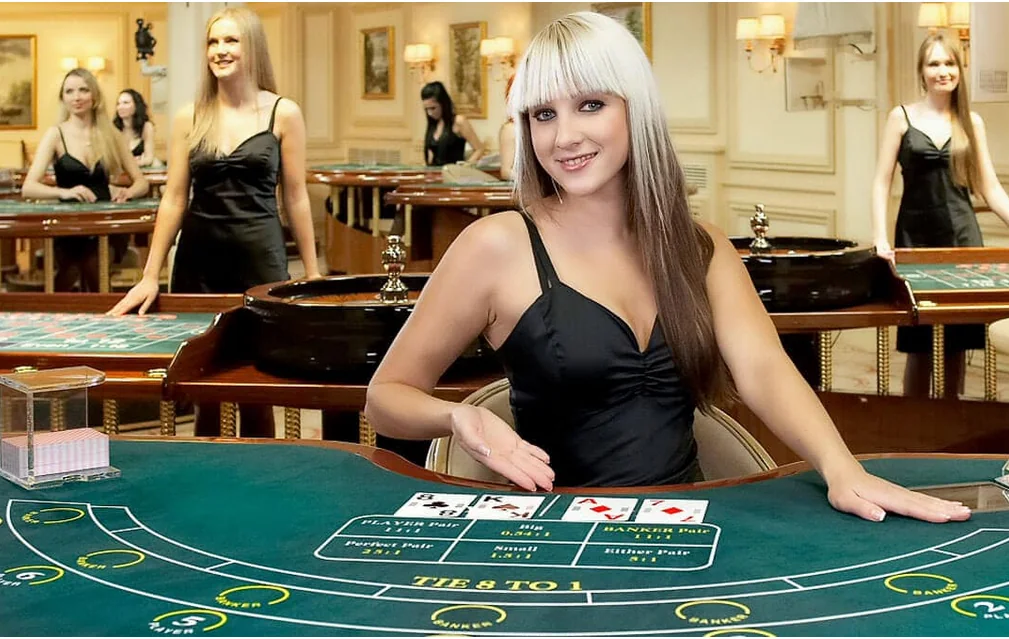Dealer memandu permainan meja kasino live